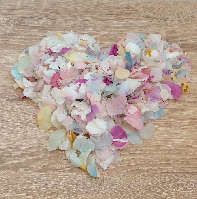 Pétales d'Hortensia séché Arc en ciel - Confettis de Mariage Biodégradables