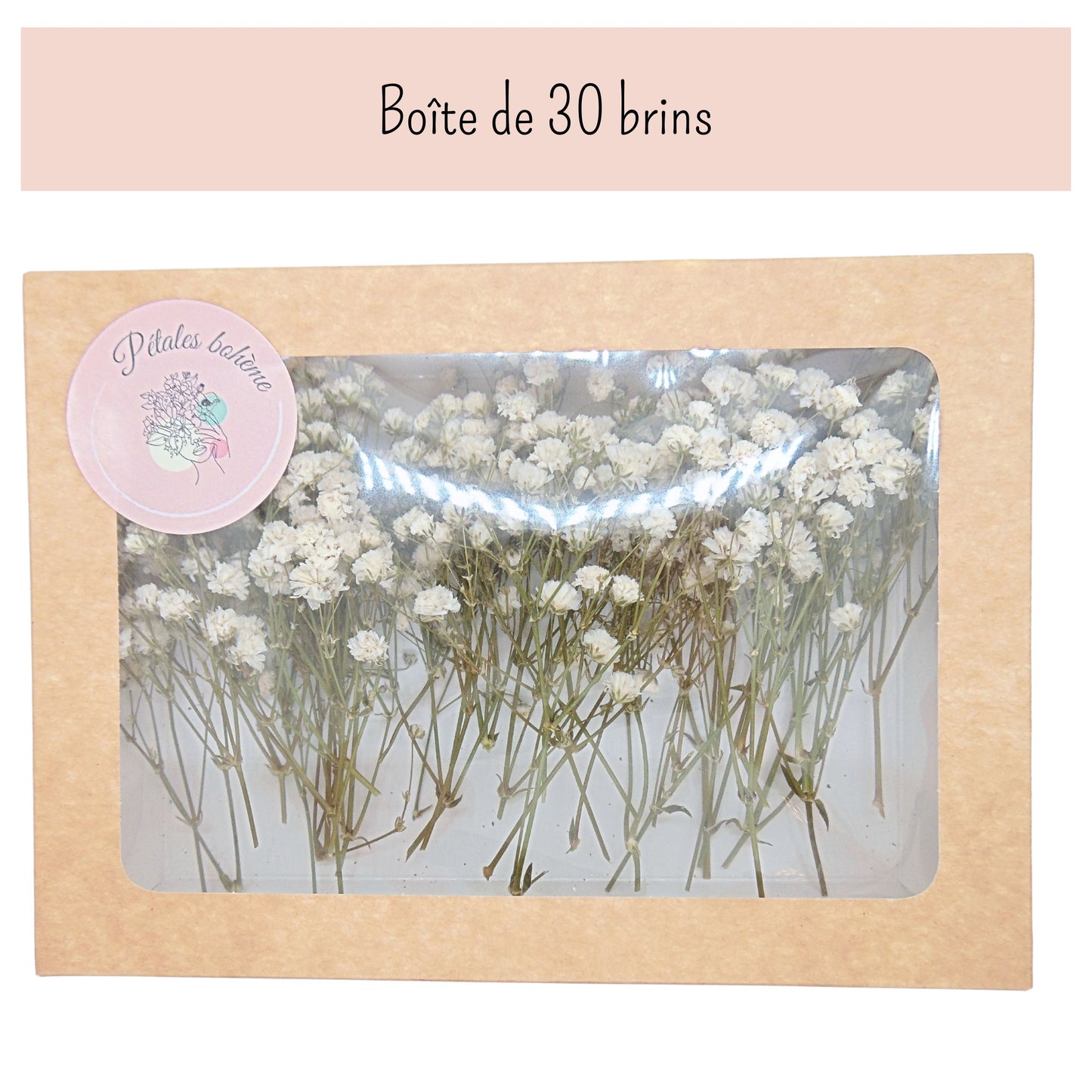 Gypsophile blanc 30 Brins de Fleur stabilisée et préservée