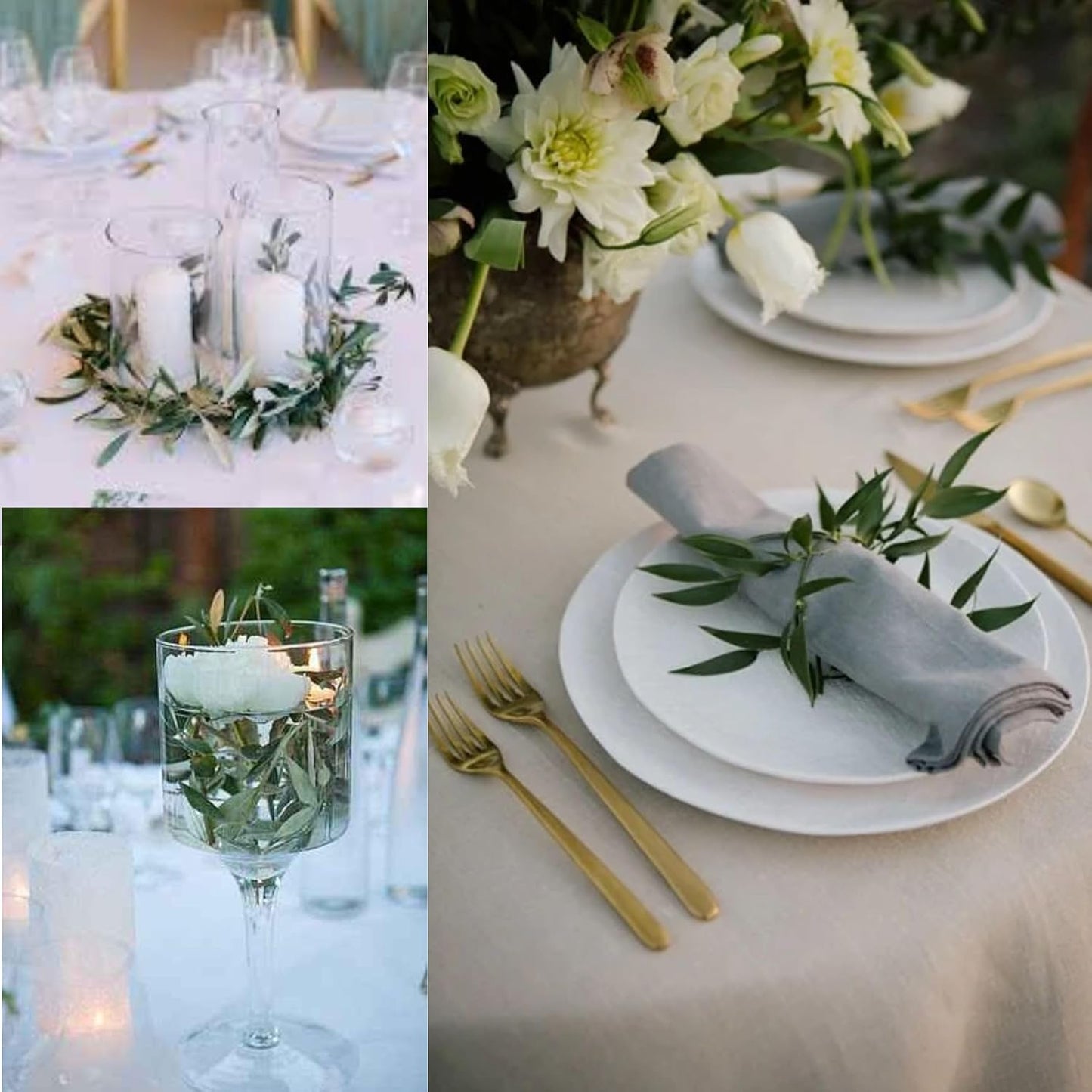 Rameaux d'olivier en branche - Lot de 10