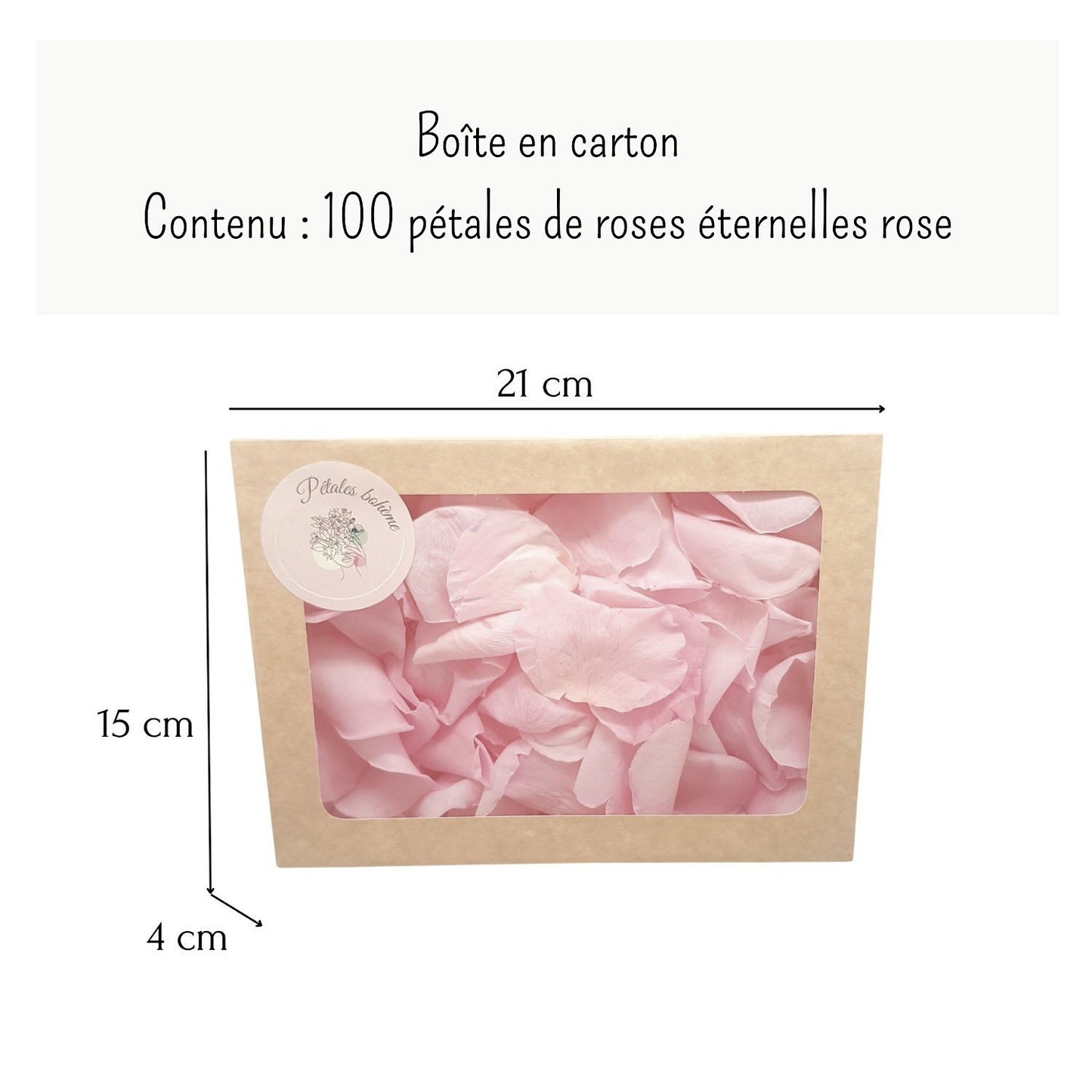 Rosa - Pétales de rose éternelle rose