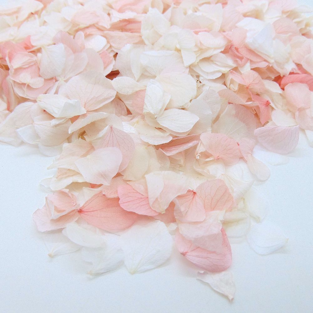 Pétales d'Hortensia séché Rose Ivoire - Confettis de Mariage