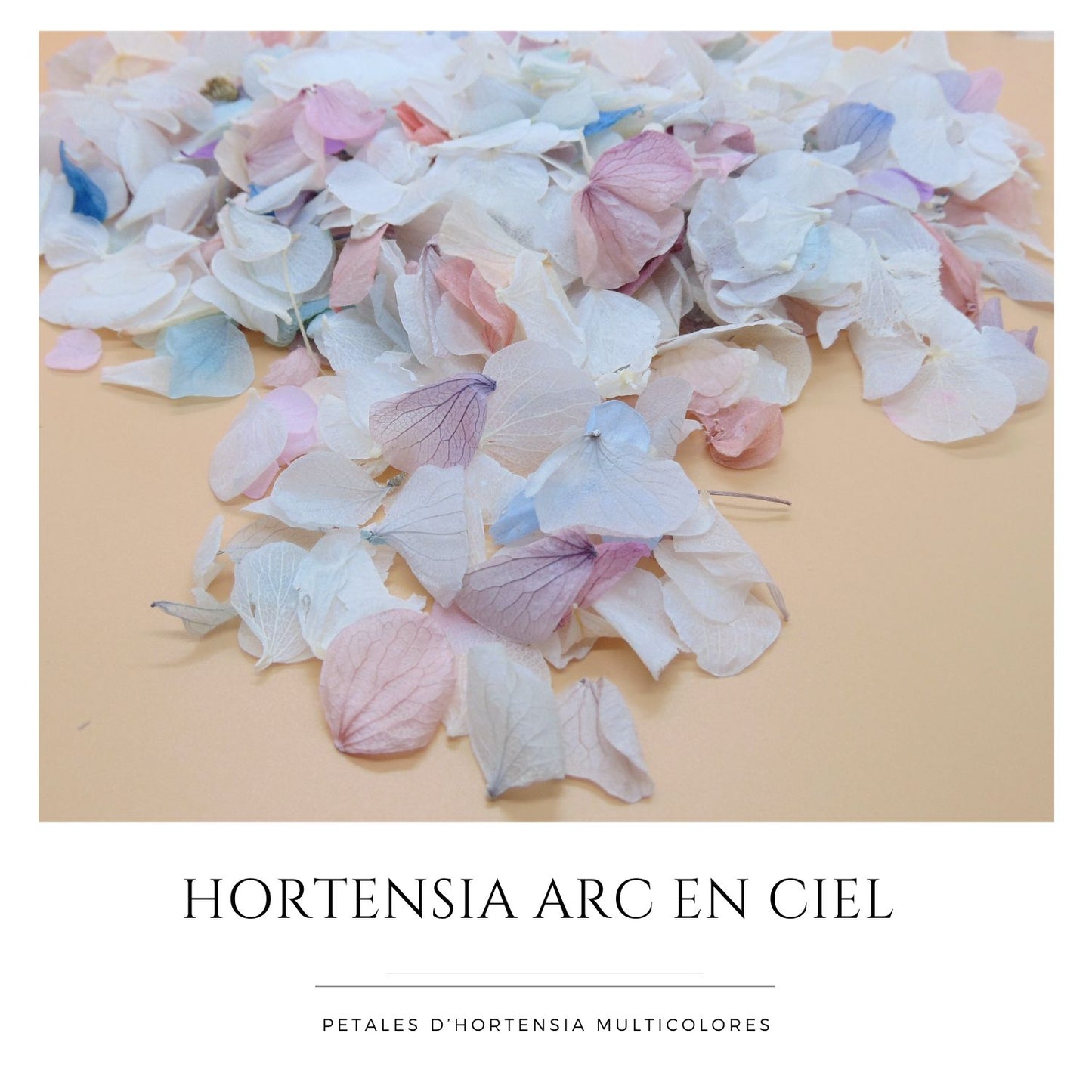 Pétales d'Hortensia séché Arc en ciel - Confettis de Mariage Biodégradables