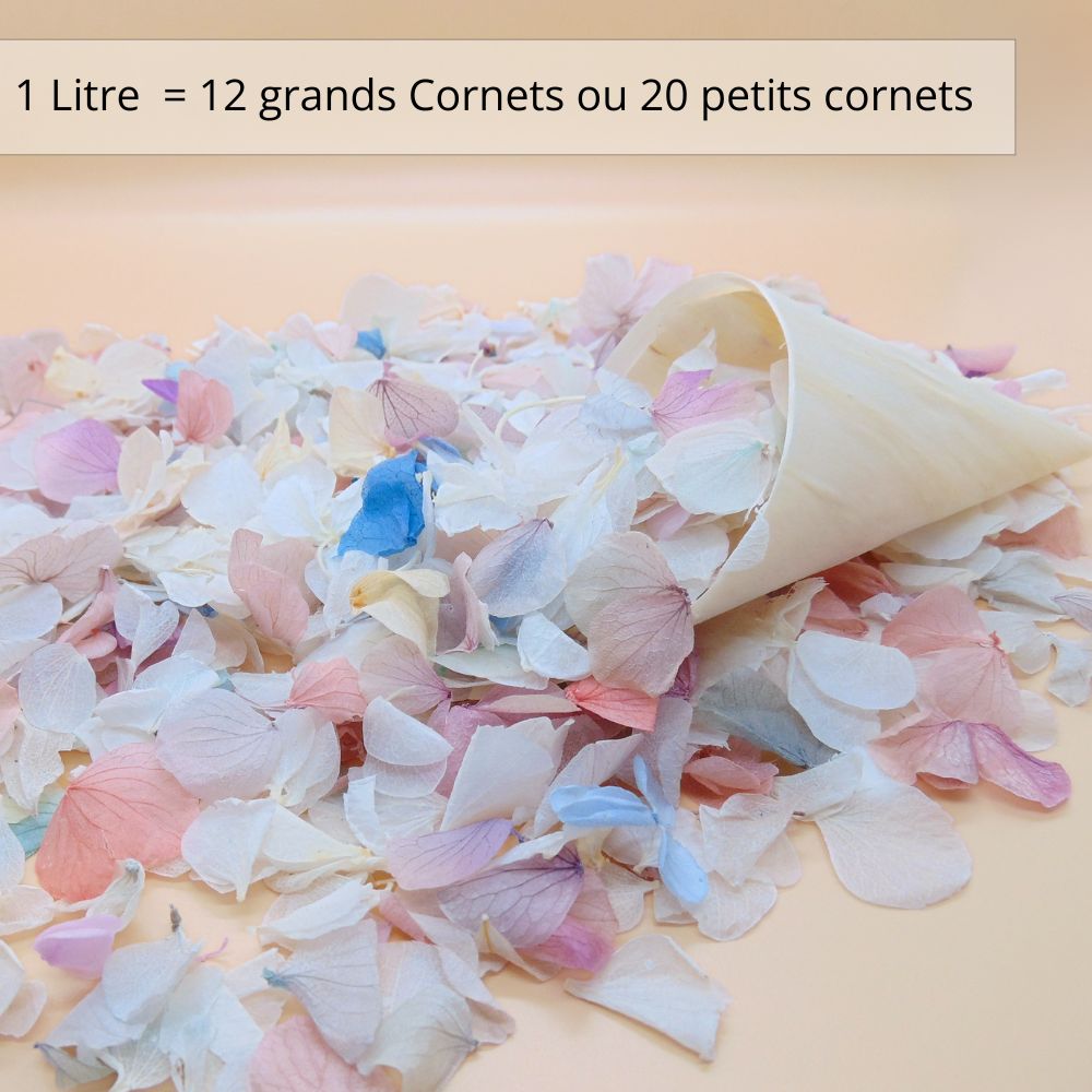 Pétales d'Hortensia séché Arc en ciel - Confettis de Mariage Biodégradables