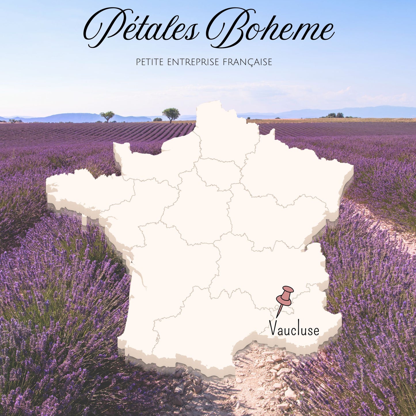 Pureté Rose Rouge - Pétales de roses Magenta