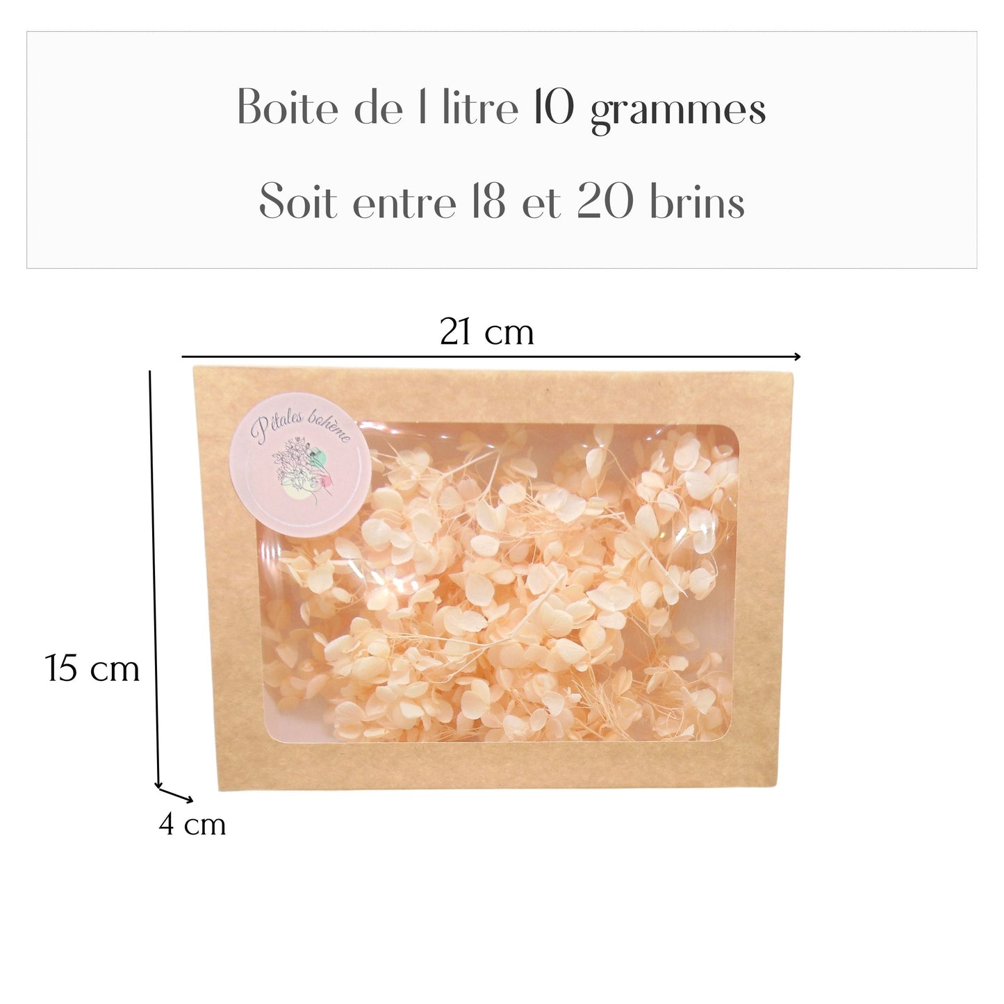 Fleurs d'Hortensia pêche