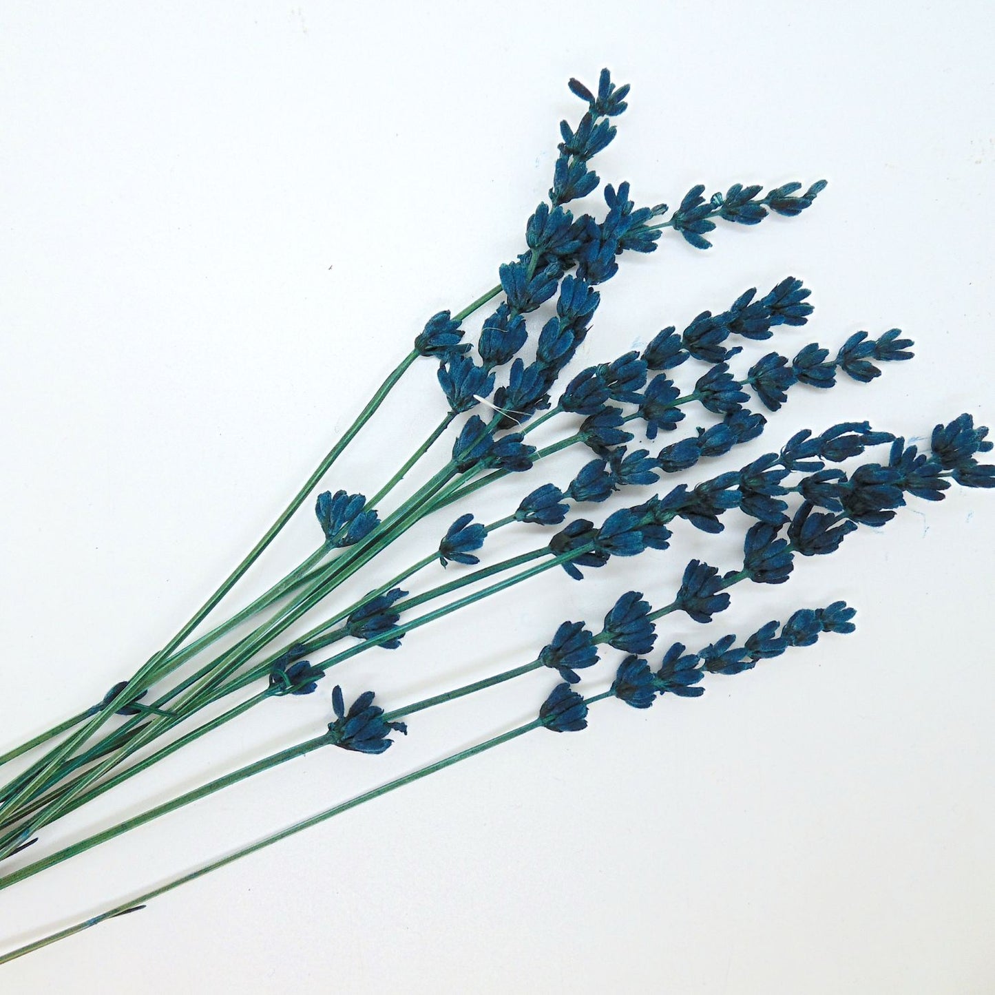 Brin de Lavande stabilisée bleue - Décoration de table Mariage