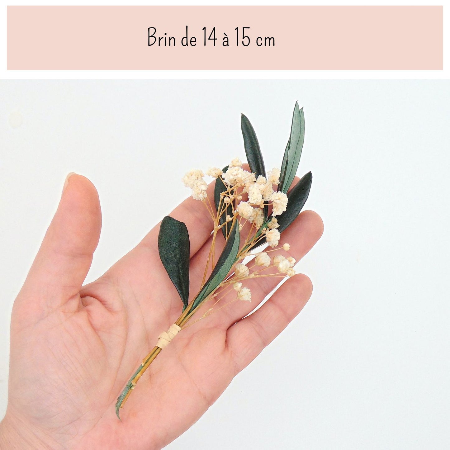 Brin Olivier Gypsophile - Petit bouquet pour décoration de table