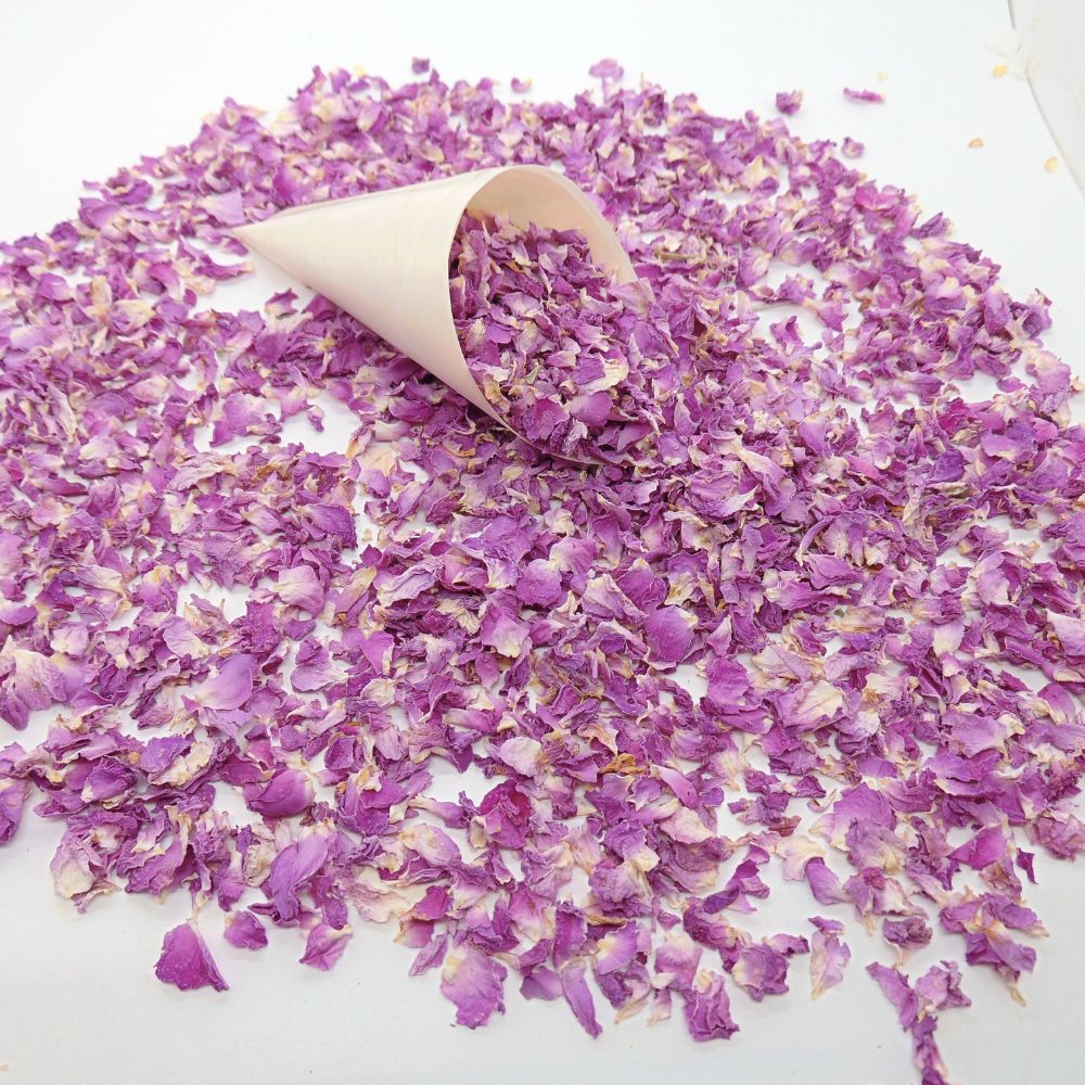 Pureté Rose Damas - Pétales de roses violet magenta