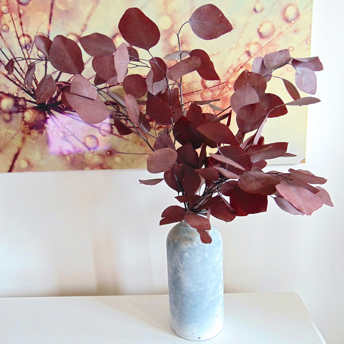 Bouquet Eucalyptus Populus Rouge préservé