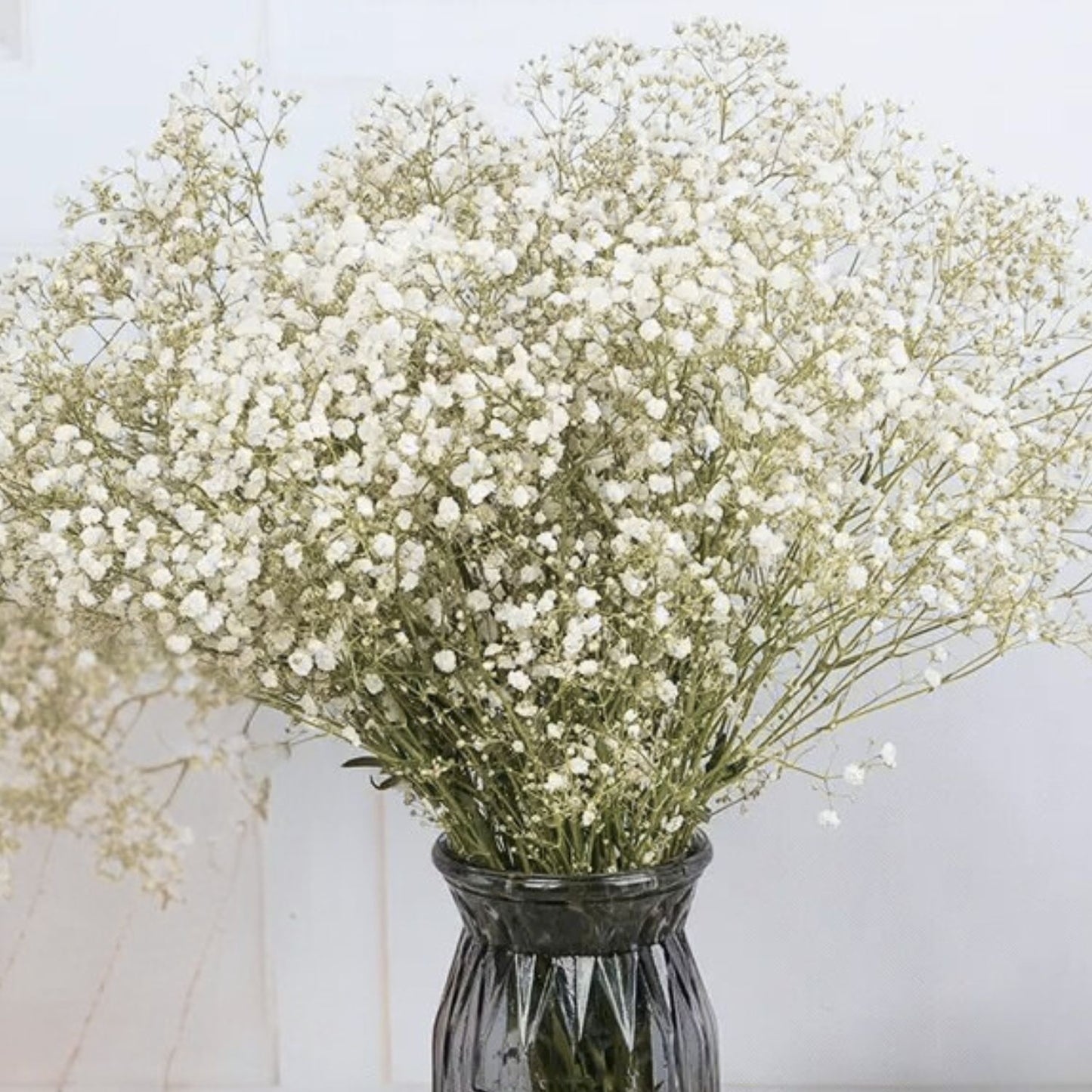 Gypsophile blanche séchée et préservée Mariage