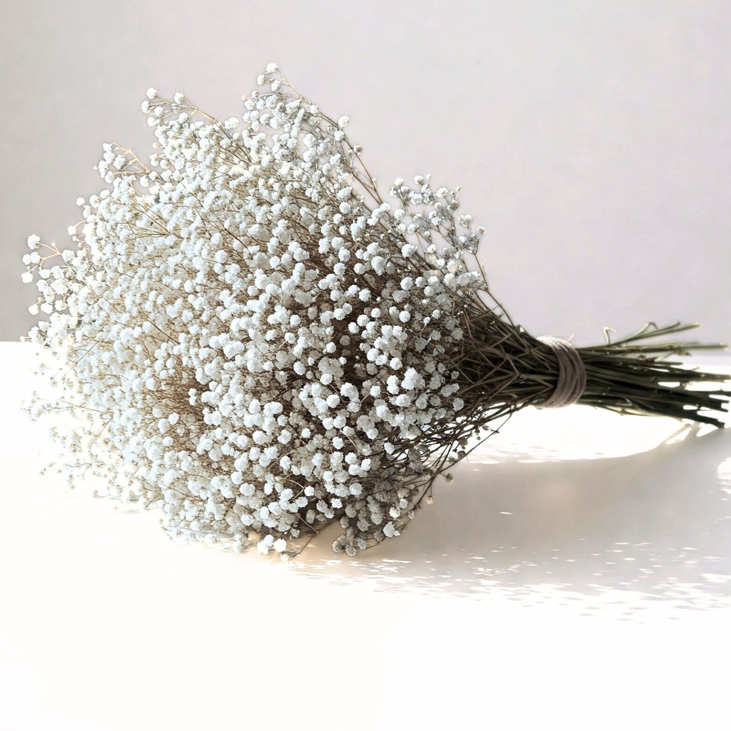 Gypsophile blanche séchée et préservée Mariage