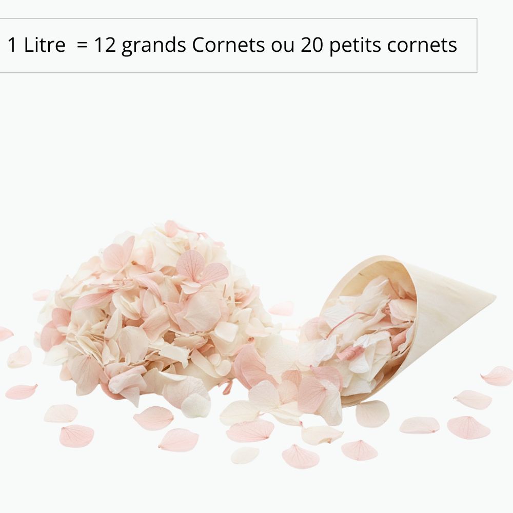Pétales d'Hortensia séché Rose Ivoire - Confettis de Mariage