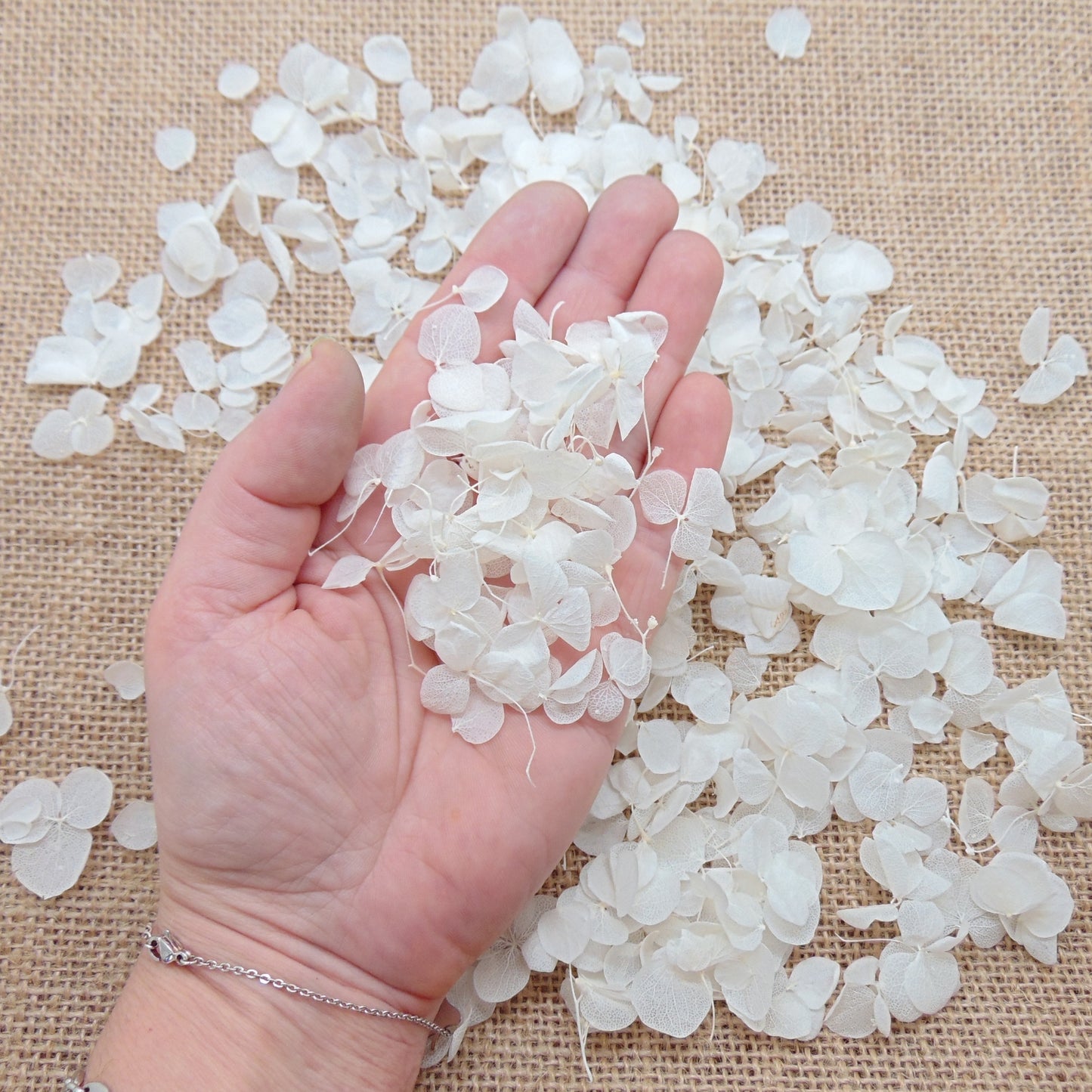 Hortensia - Confettis de Mariage blanc