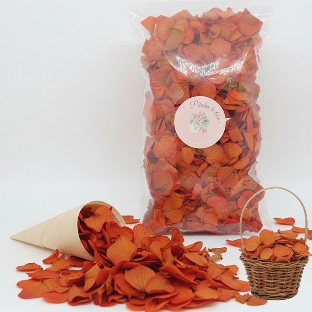 Pétales d'Hortensia Orange Brique - Confettis de Fleurs séchées