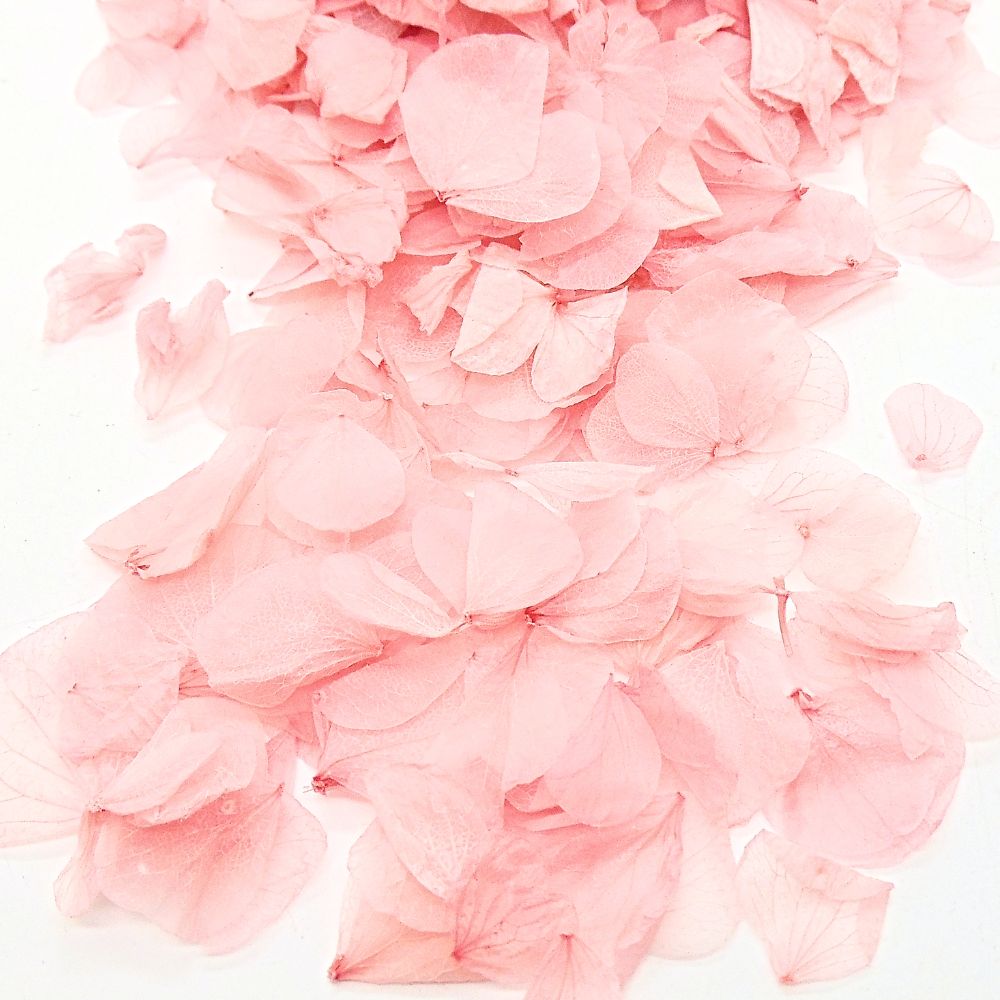 Pétales d'Hortensia séché Rose Antique - Confettis fleurs Mariage