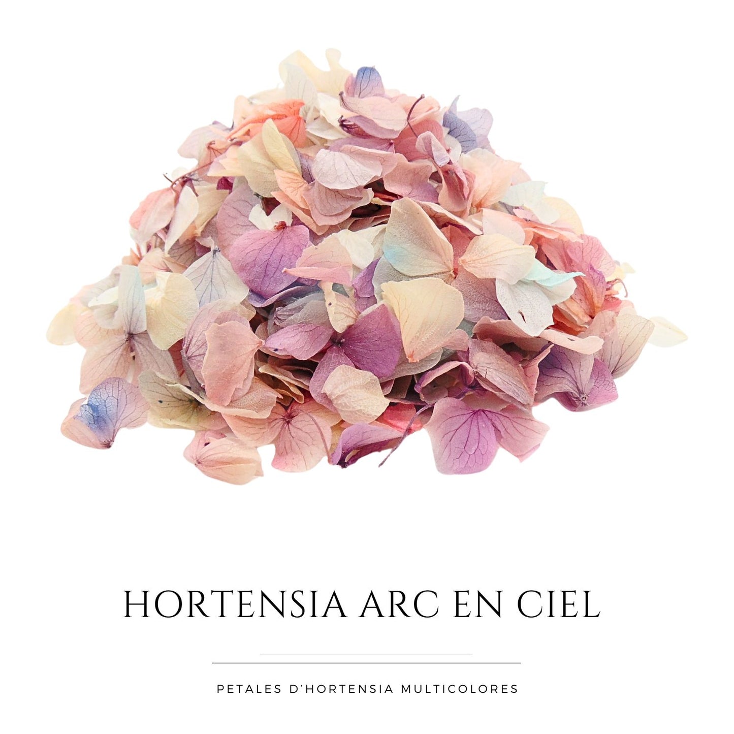Pétales d'Hortensia séché Arc en ciel - Confettis de Mariage Biodégradables
