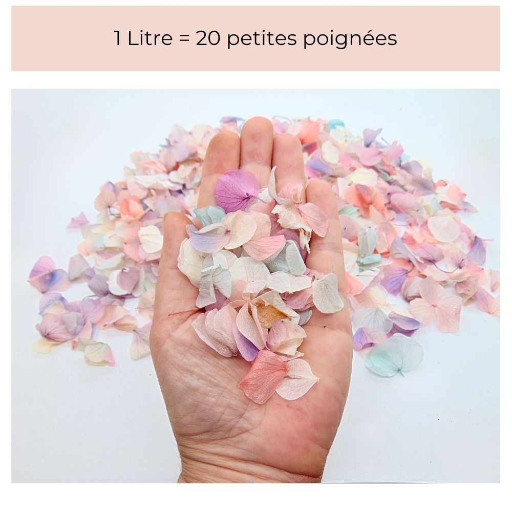 Pétales d'Hortensia séché Arc en ciel - Confettis de Mariage Biodégradables