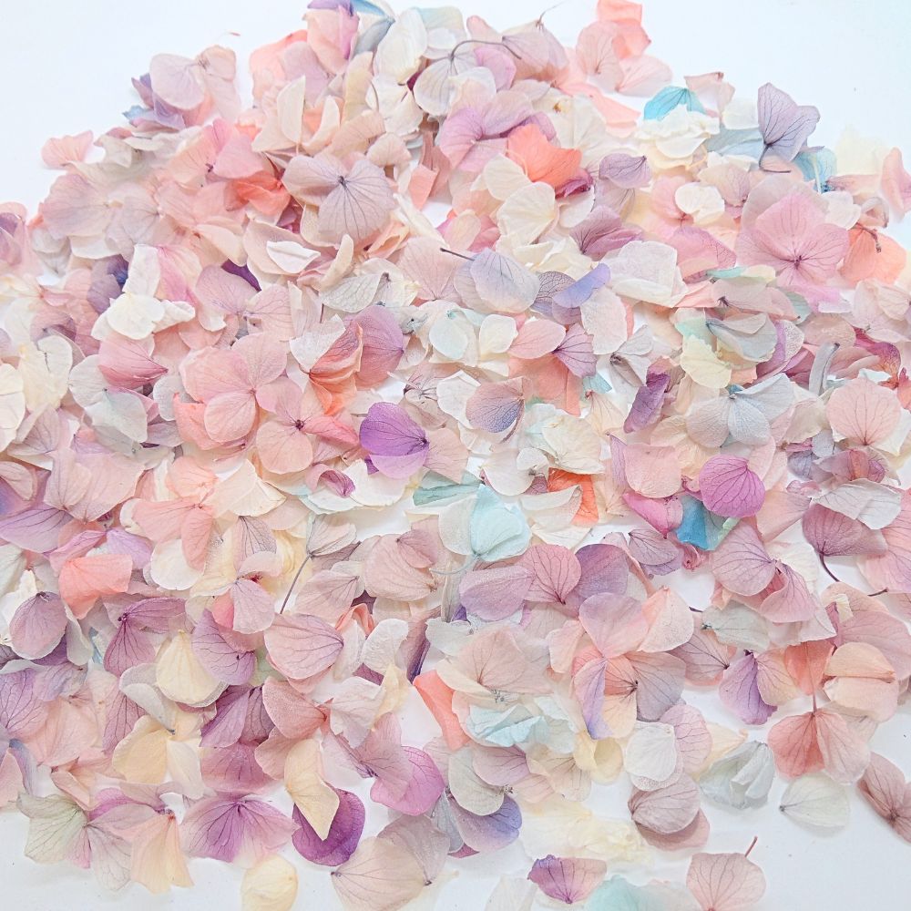Pétales d'Hortensia séché Arc en ciel - Confettis de Mariage Biodégradables