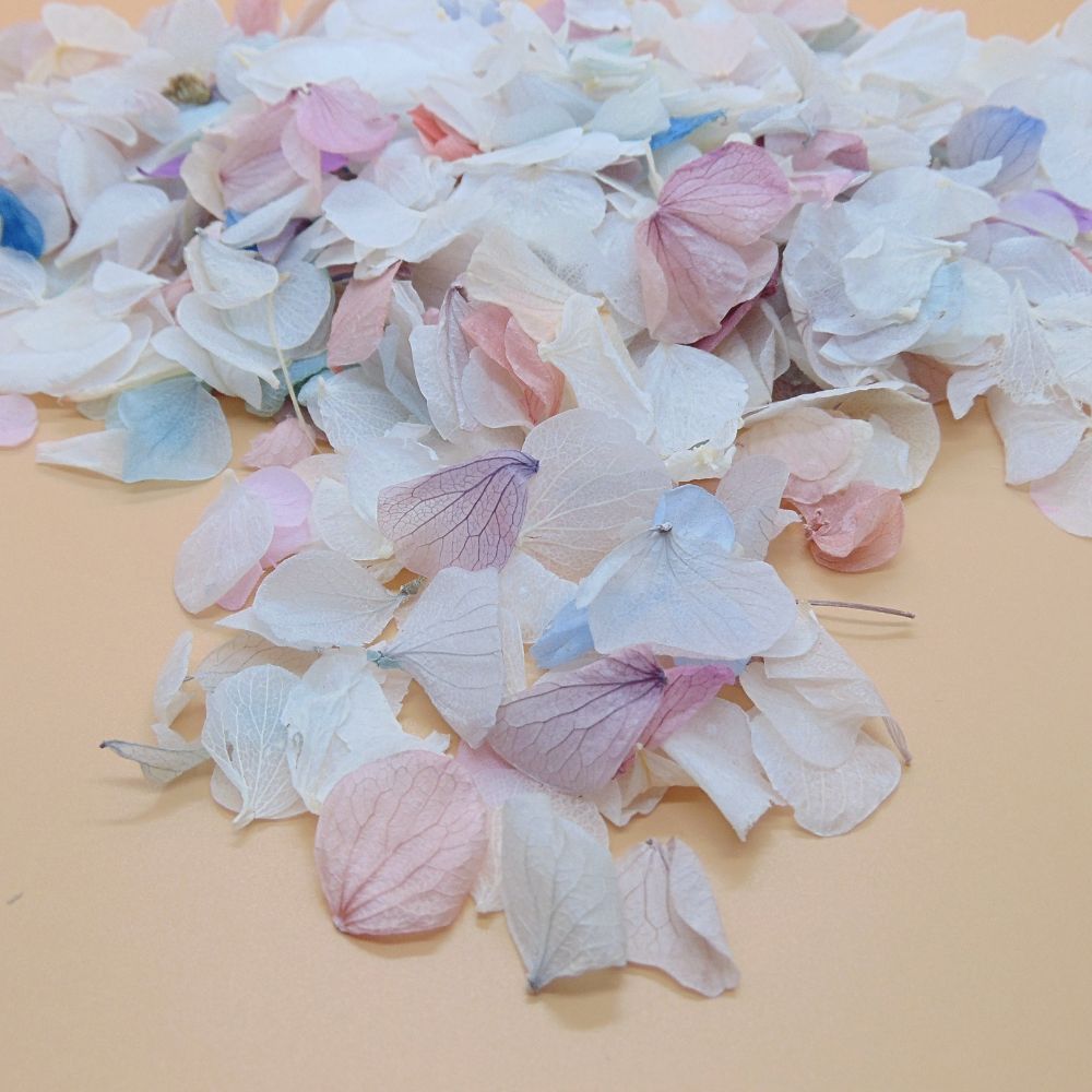 Pétales d'Hortensia séché Arc en ciel - Confettis de Mariage Biodégradables