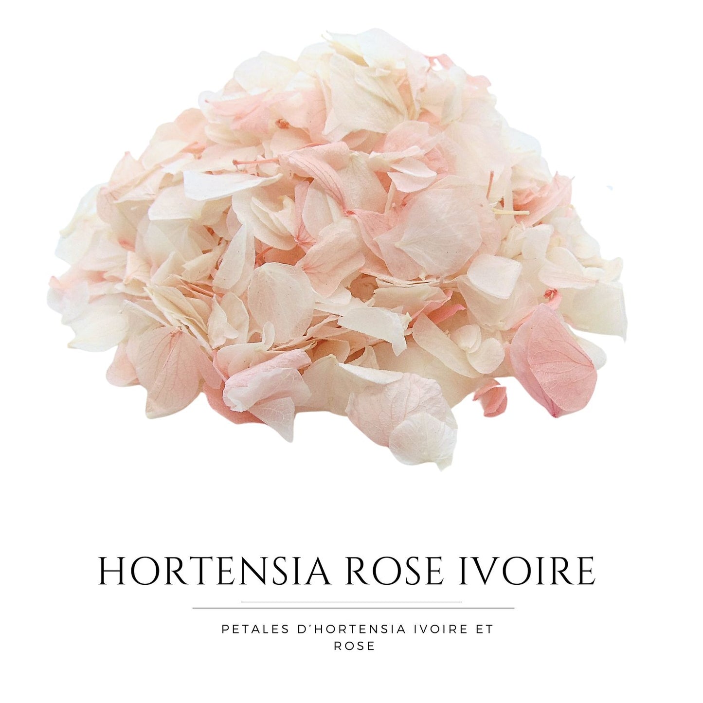 Pétales d'Hortensia séché Rose Ivoire - Confettis de Mariage