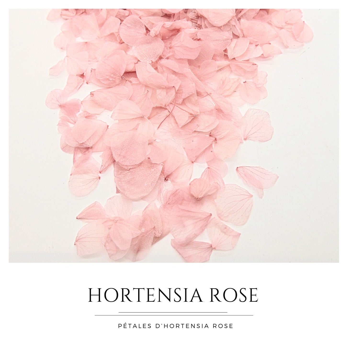 Pétales d'Hortensia séché Rose Antique - Confettis fleurs Mariage