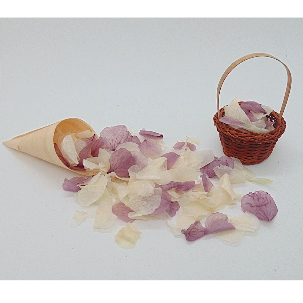 Pétales d'Hortensia Lilas Ivoire - Confettis de Mariage