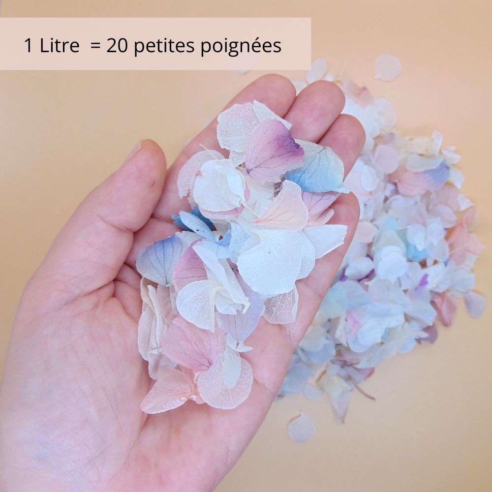 Pétales d'Hortensia séché Arc en ciel - Confettis de Mariage Biodégradables