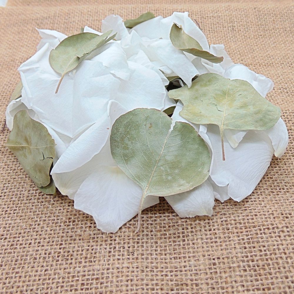 Pétales de Roses blanches Feuille d'Eucalyptus séché