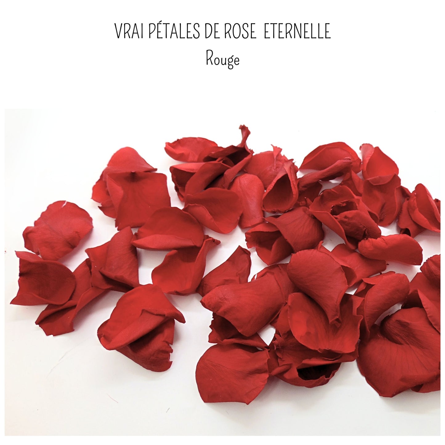 Rouge eternelle - Pétales de rose rouge stabilisée