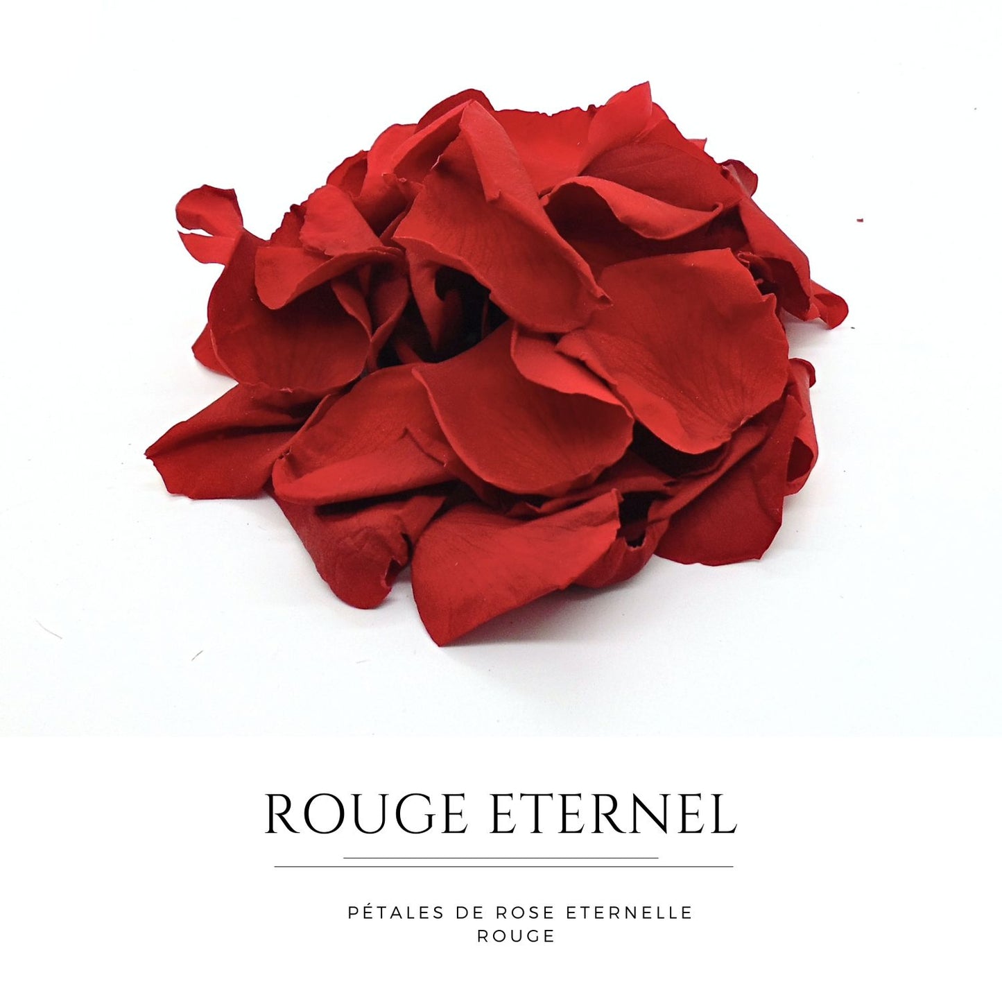 Rouge eternelle - Pétales de rose rouge stabilisée
