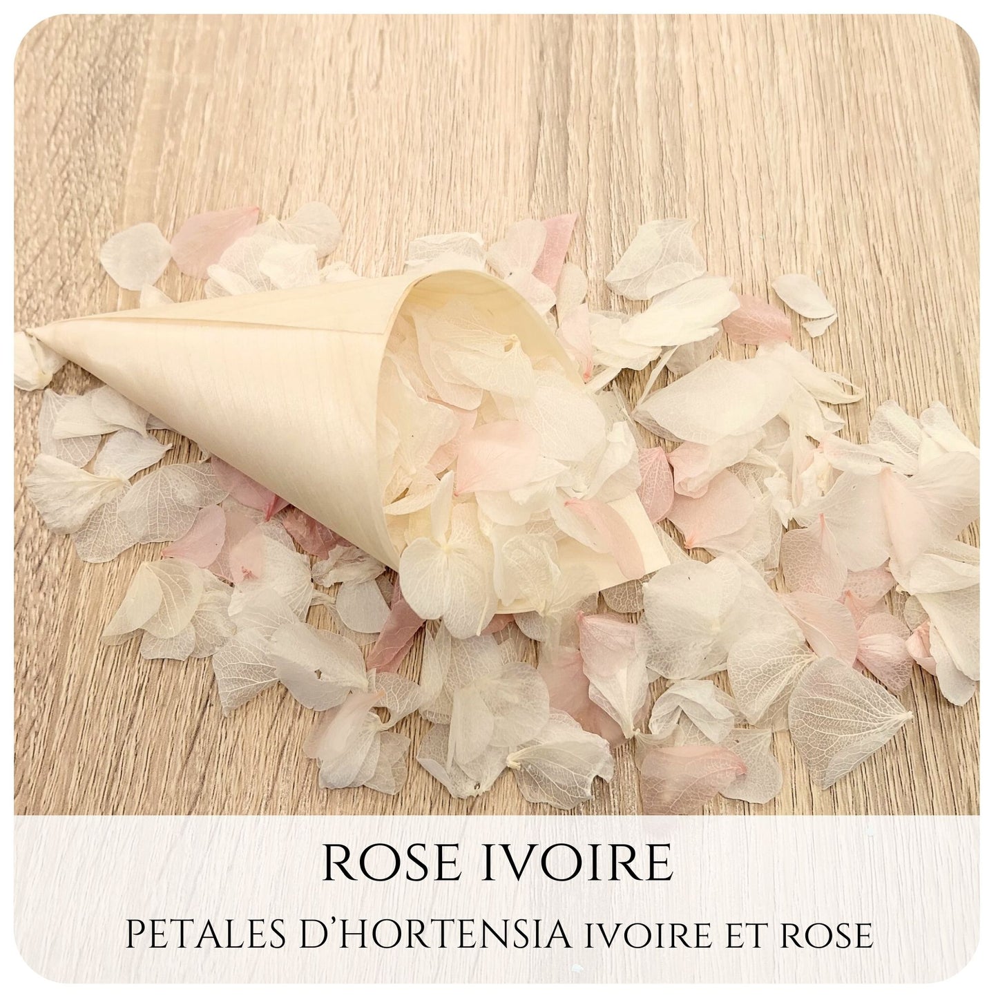 Pétales d'hortensia avec Cornet - Confettis de Mariage