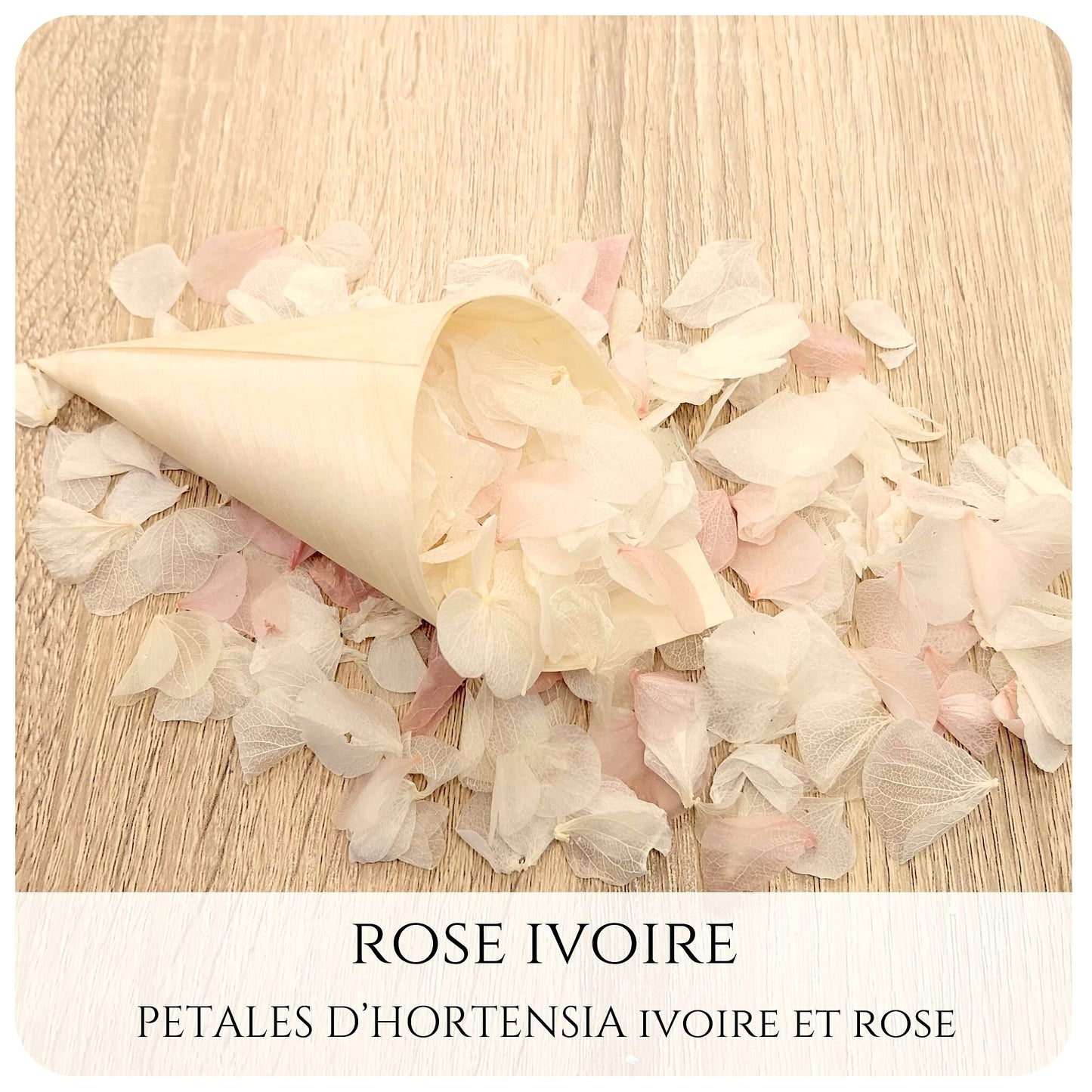 Pétales d'hortensia avec Cornet - Confettis de Mariage