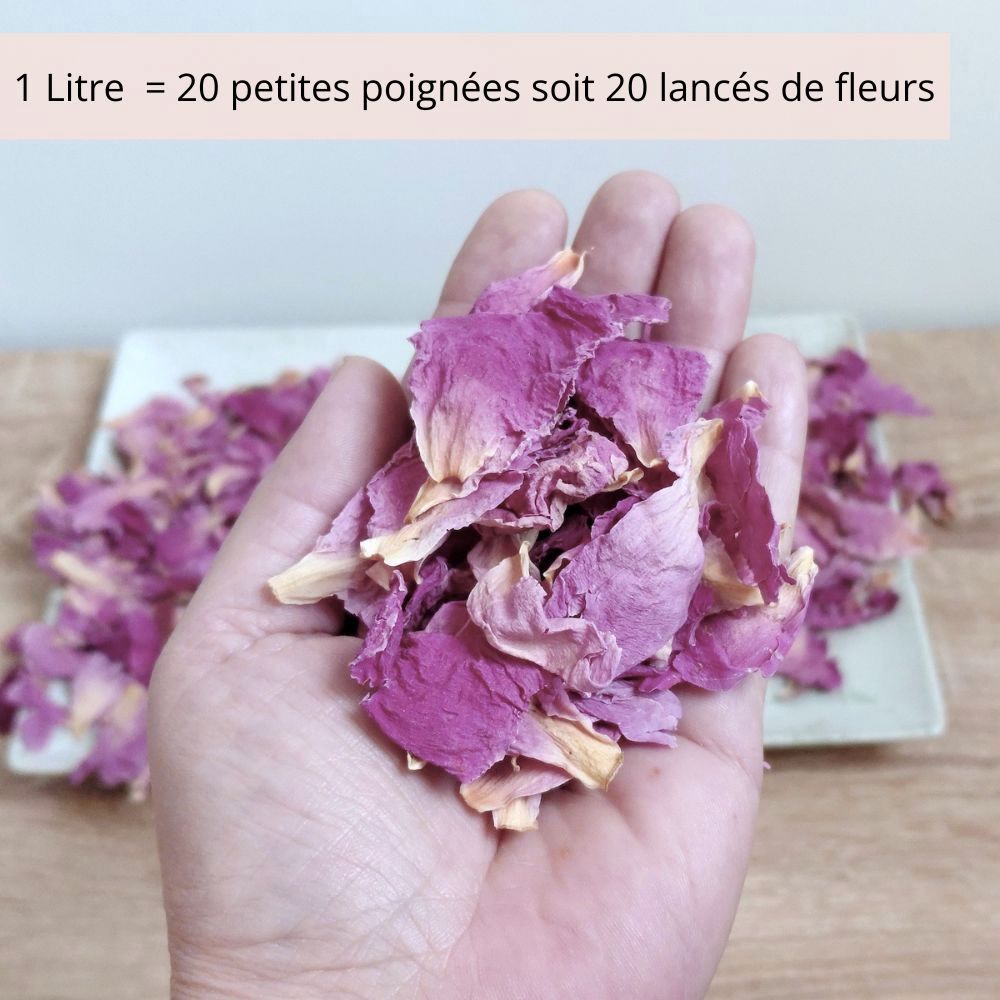 Pétales de Pivoine séchées