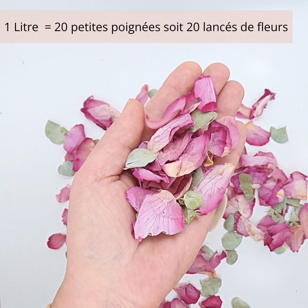 Rose Eucalyptus - Pétales de roses mauve Eucalyptus