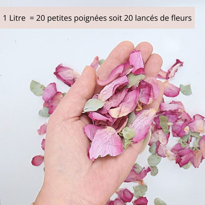 Rose Eucalyptus - Pétales de roses mauve Eucalyptus