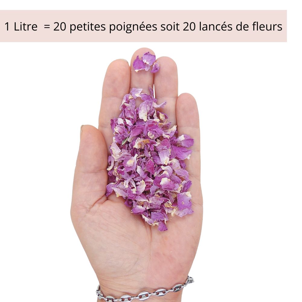 Pureté Rose Damas - Pétales de roses violet magenta