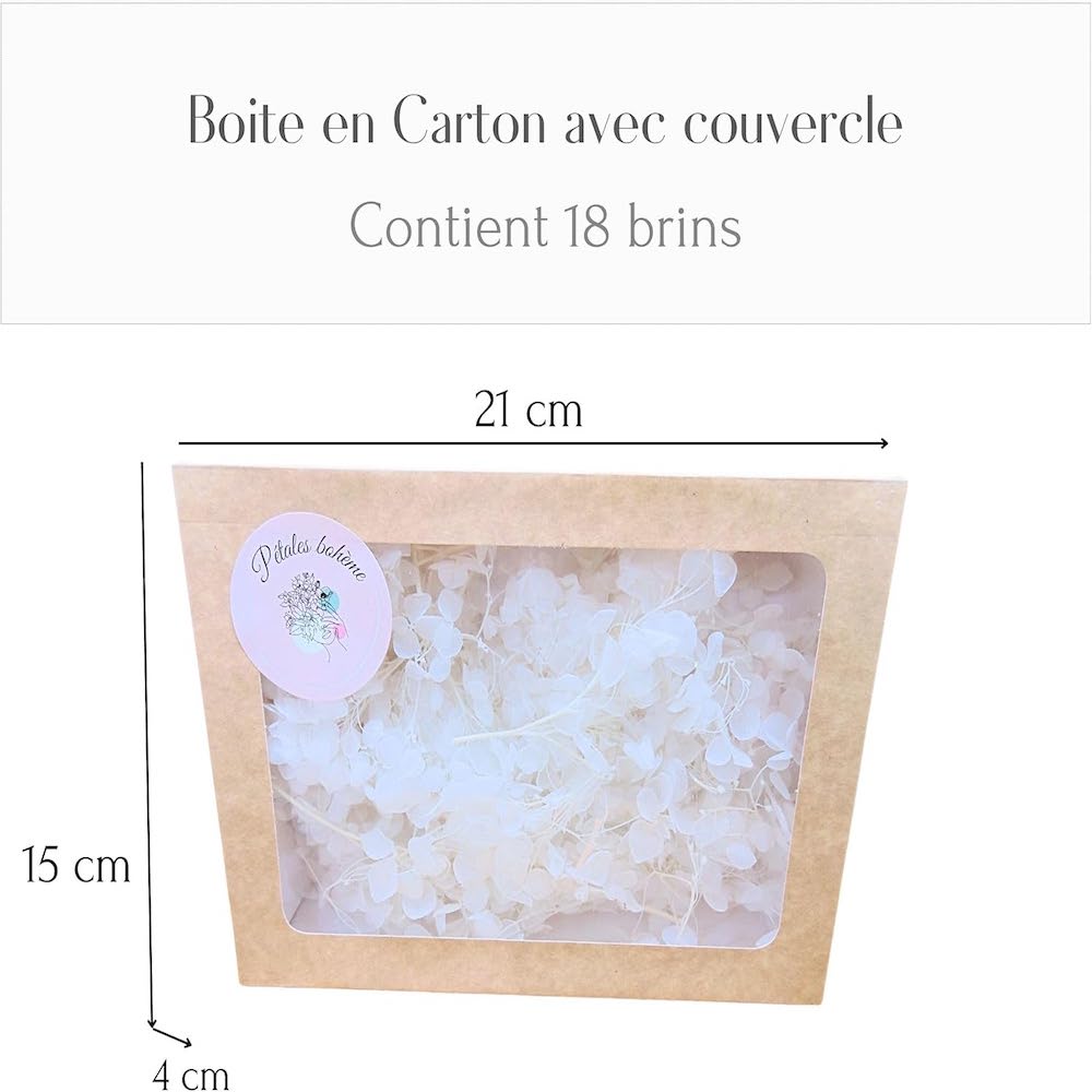 Fleurs d'Hortensia stabilisé blanc