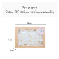 Intemporelle - Pétales de rose blanches éternelle