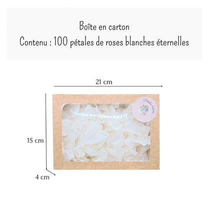 Intemporelle - Pétales de rose blanches éternelle