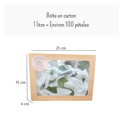 Eternelle - Pétales de Roses blanches feuille d'Eucalyptus