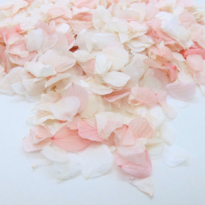 Pétales d'Hortensia séché Rose Ivoire - Confettis de Mariage