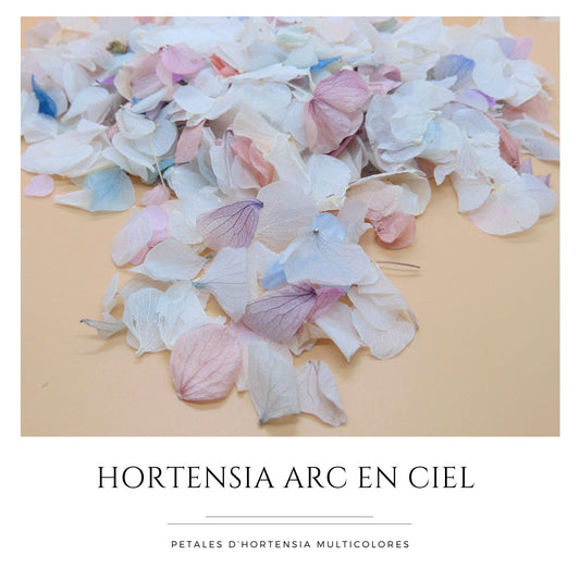 Pétales d'Hortensia séché Arc en ciel - Confettis de Mariage Biodégradables
