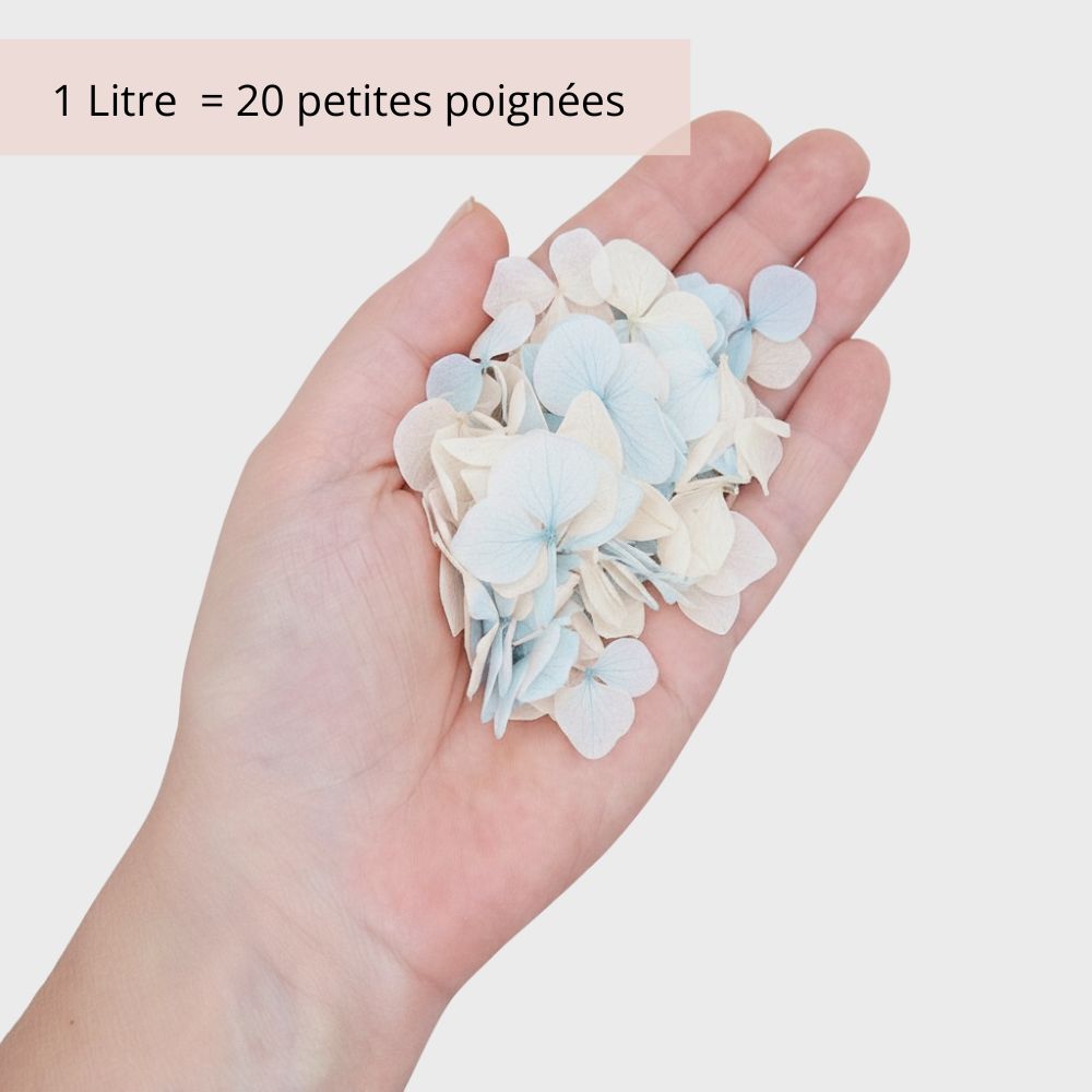 Azur - Confettis fleurs séchées Mariage