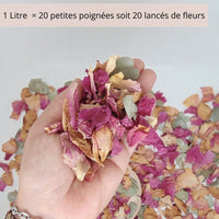 Rose Eucalyptus - Pétales de roses mauve Eucalyptus