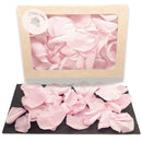 Rosa - Pétales de rose éternelle rose