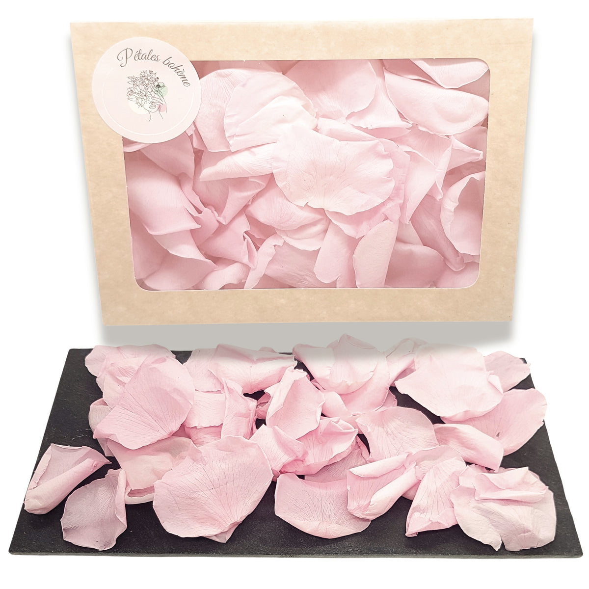 Rosa - Pétales de rose éternelle rose