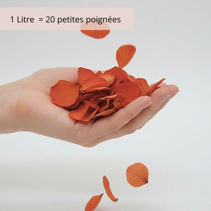 Pétales d'Hortensia Orange Brique - Confettis de Fleurs séchées