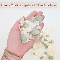 Sauge - Confettis de Fleurs Séchées Mariage