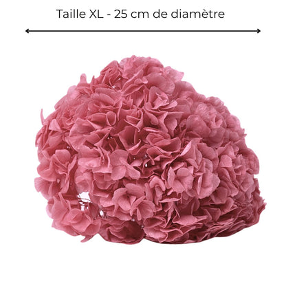 Hortensia Stabilisé Rose -Fleur éternelle