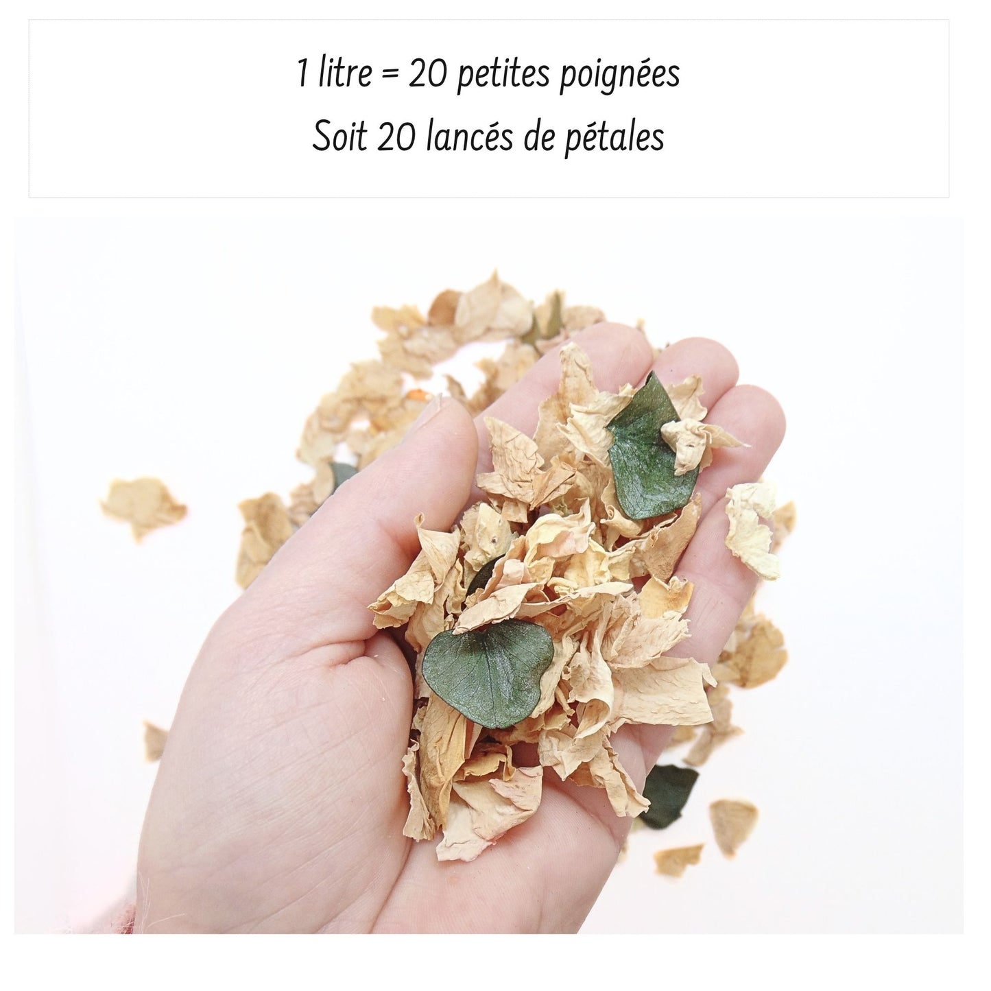 Ambre - Pétales de roses beige Eucalyptus